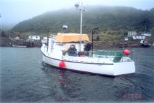 625: Red Island. The "Kittiwake". (2003) [courtesy of Phonse Mulrooney]